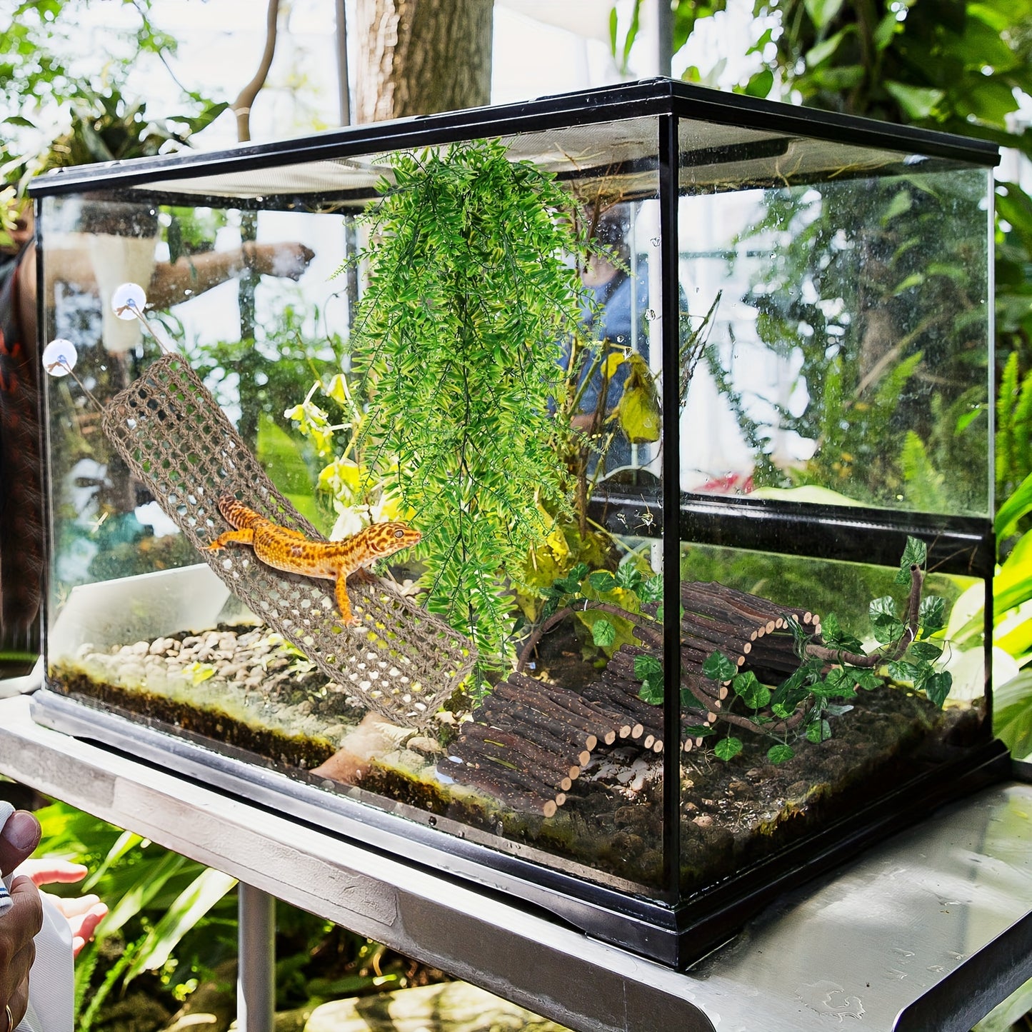 8 Pcs Leopard Gecko Tank Accessories Include Artificial Reptile Hanging Plant Terrarium Reptile Plants Reptile Water And Food Bowls Digital For Dragon Lizard Snake