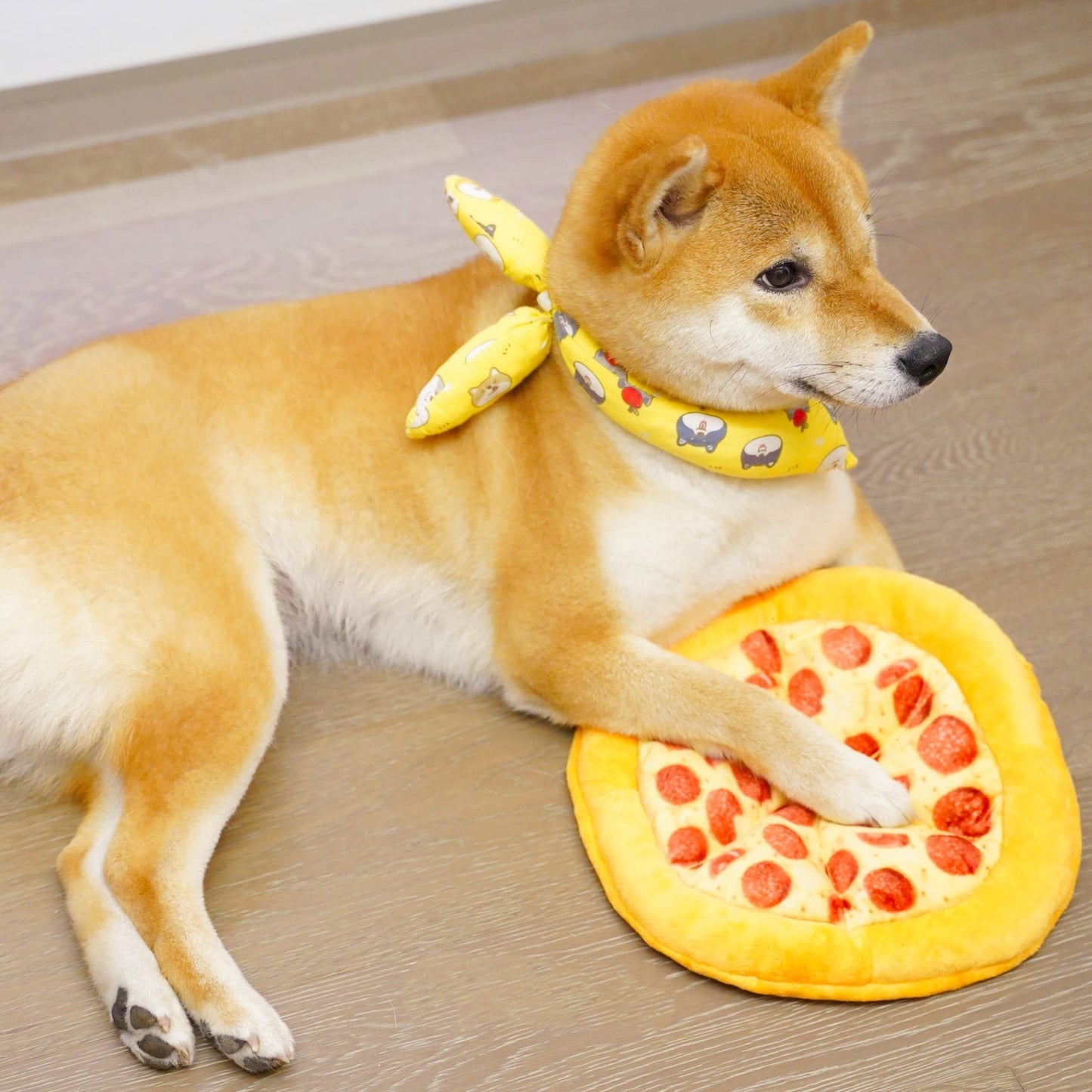 1pc Adorable Pizza Design Squeaky Plush Toy - Interactive Dog Chew Toy with Durable Teeth Grinding Function for Fun Playtime - Perfect Pet Supply for Aggressive Chewers