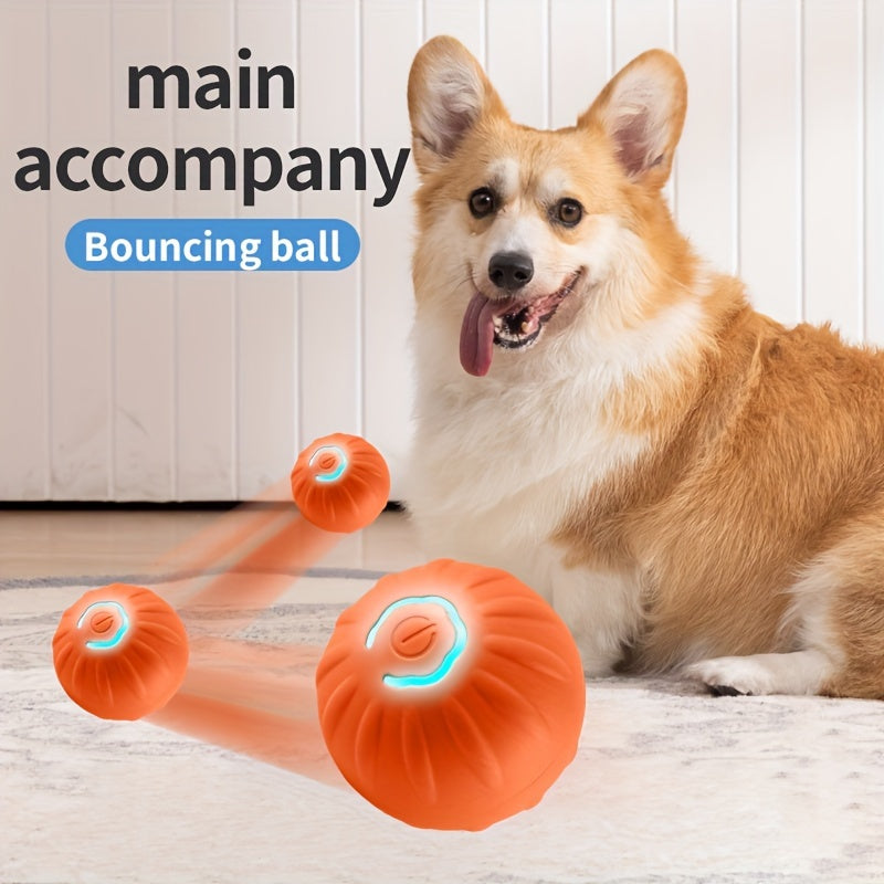 Interactive Pet Rolling Ball Toy