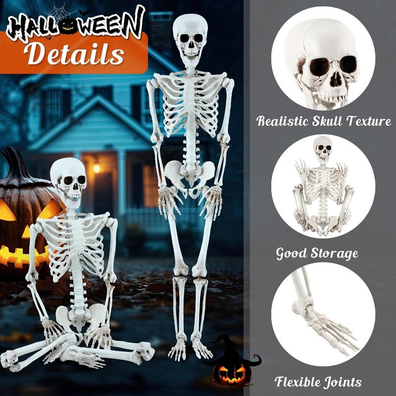 6 Pack 5 ft Halloween Skeleton Full Body Life Size Poseable Skeleton Large Skeleton with Movable Posable Joints Halloween Decorations Outdoor for Yard Garden Lawn