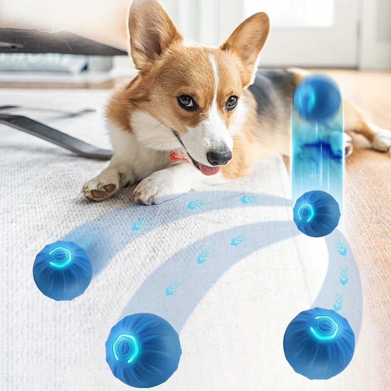 Interactive Pet Rolling Ball Toy