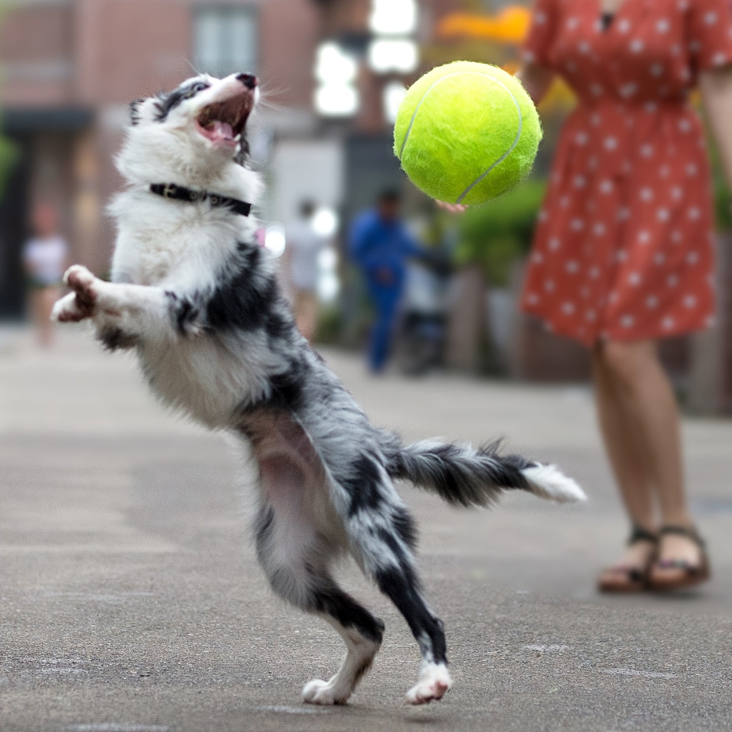 Giant 9.5" Interactive Tennis Ball Toy