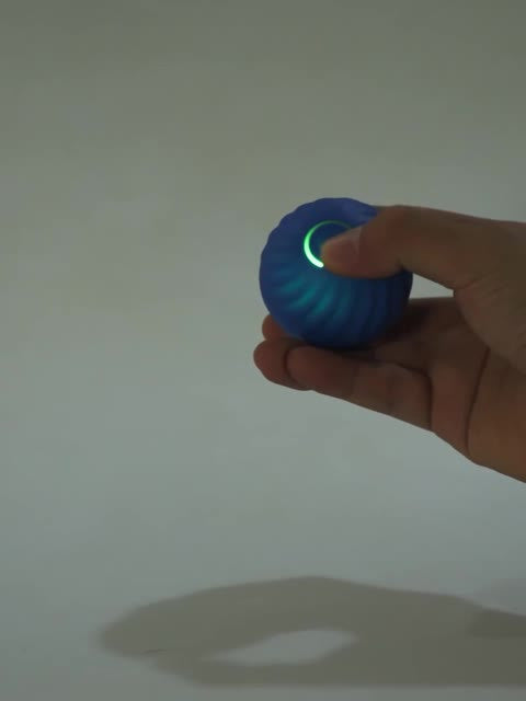 Interactive Pet Rolling Ball Toy